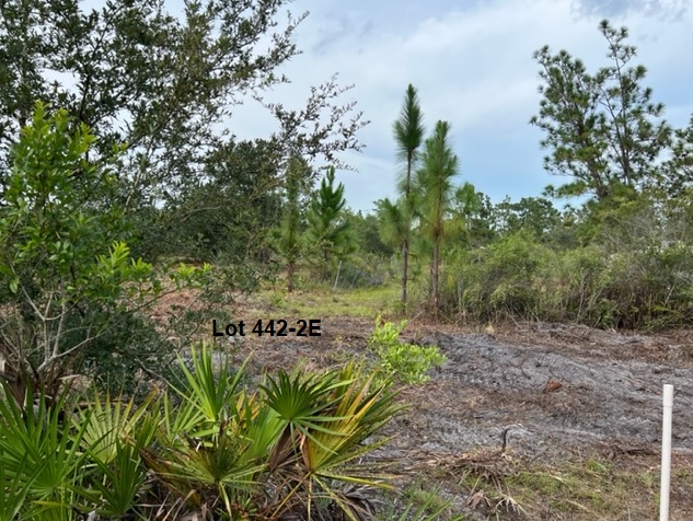 Florida Recreational Off Road Camp Land 4x4ing atving
