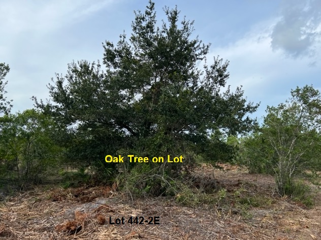 Florida Recreational Off Road Camp Land 4x4ing atving