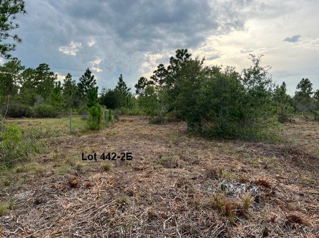 Florida Recreational Off Road Camp Land 4x4ing atving