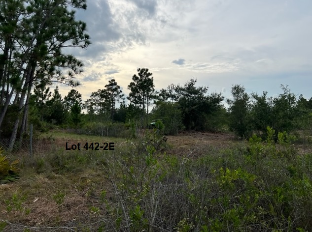 Florida Recreational Off Road Camp Land 4x4ing atving
